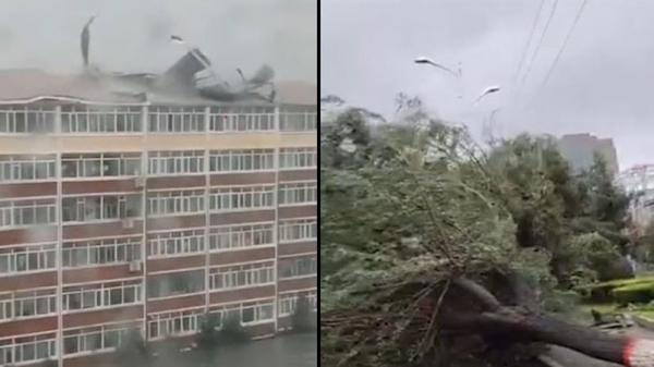 台风美莎克进入吉林,中心风力达8级。(图片来源:网络图片)