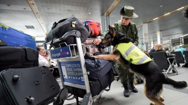 警犬 (示意图/非本文图片/图片来源:RAUL ARBOLEDA/AFP/Getty Images )