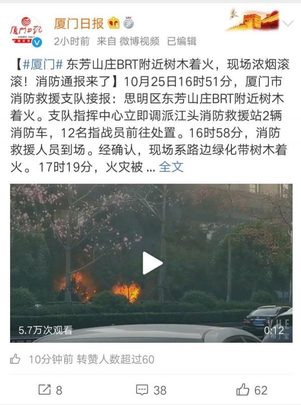 10月25日厦门市思明区东芳山庄BRT附近树木着火(图片来源:微博)