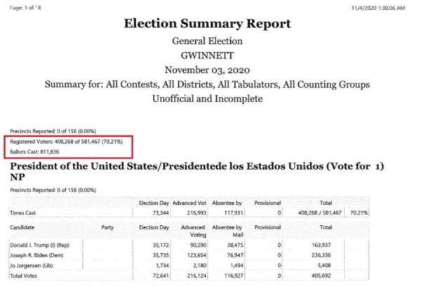 乔治亚洲州Gwinnett County一份选举细节报告表。(网络截图)