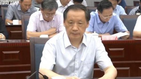 李金早