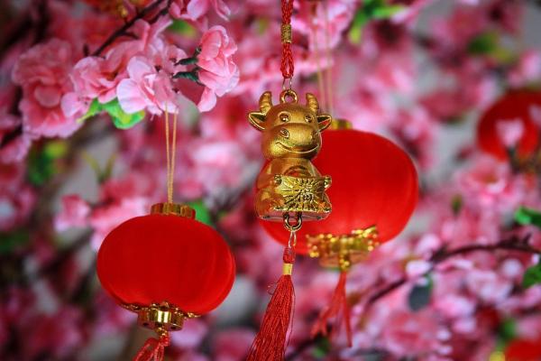 除夕围炉迎好运,七大年菜典故你都知道吗?(图片来源(以下图片均来源:Pixabay)