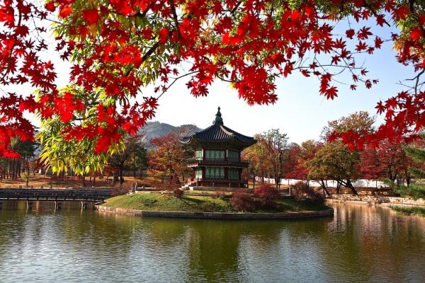 康熙的智慧。(图片来源:Pixabay)