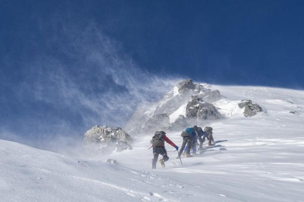 福里斯被冰雪覆盖长达78年之后心脏依然跳动。(示意图 / 图片来源:Pixabay)