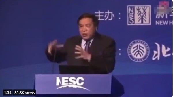 北大教授王建国(图片来源:视频截图)