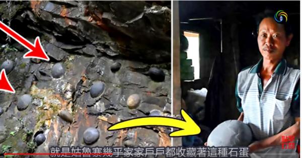 (图片均来源:视频截图)