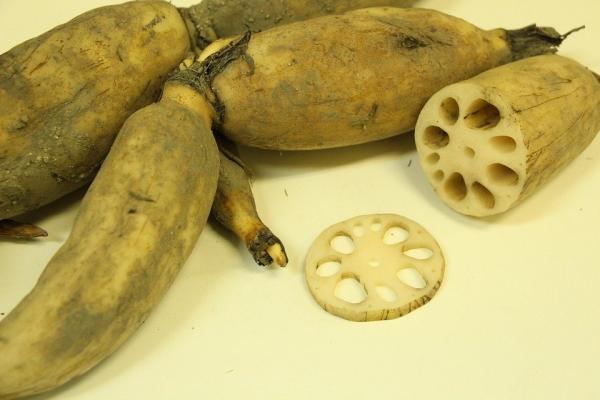 莲藕有助于健脾益胃,调理慢性胃炎有很好的作用。(以下图片均来源:Pixabay)