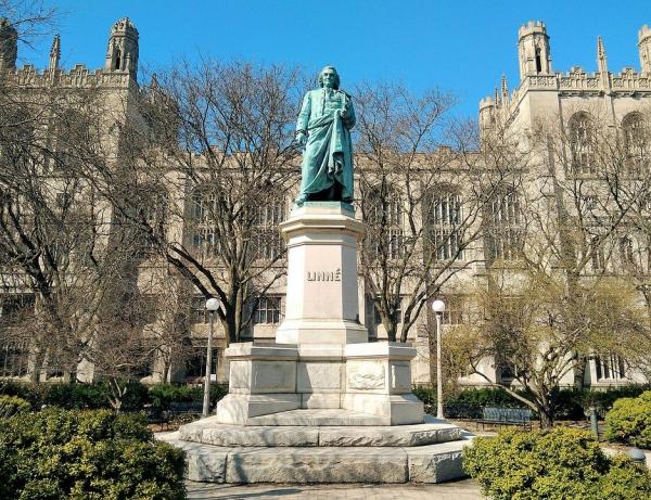 一个北京教师美国考察后 “ 信仰崩塌 ”。图为美国芝加哥大学。(图片来源:Pixabay)