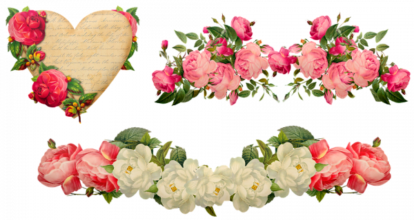 (图片来源:Pixabay)