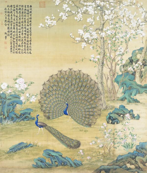 《孔雀开屏图》,画幅纵328cm,横282cm,现收藏于国立故宫博物院。作品绘于白绢上,一只开屏的孔雀立于玉兰花树下,另一只孔雀立于它之前,左侧有几株牡丹,画幅左上方有乾隆御题七古一首。(郎世宁/Wikipedia/公有领域)