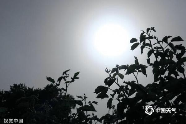 北京出现“蓝太阳”,引发关注。(图片来源:微博截图)