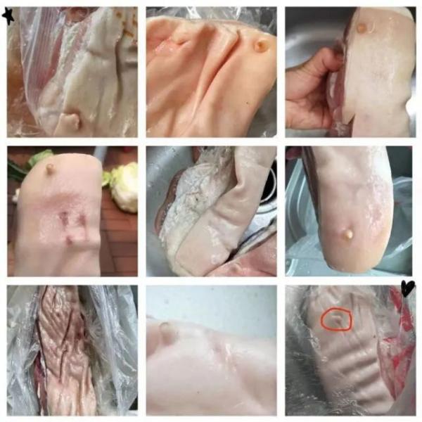 上海松江居民反映,拿到街道派发的物资发现猪肉疑似是应当废弃的“奶脯肉”(网络图片)
