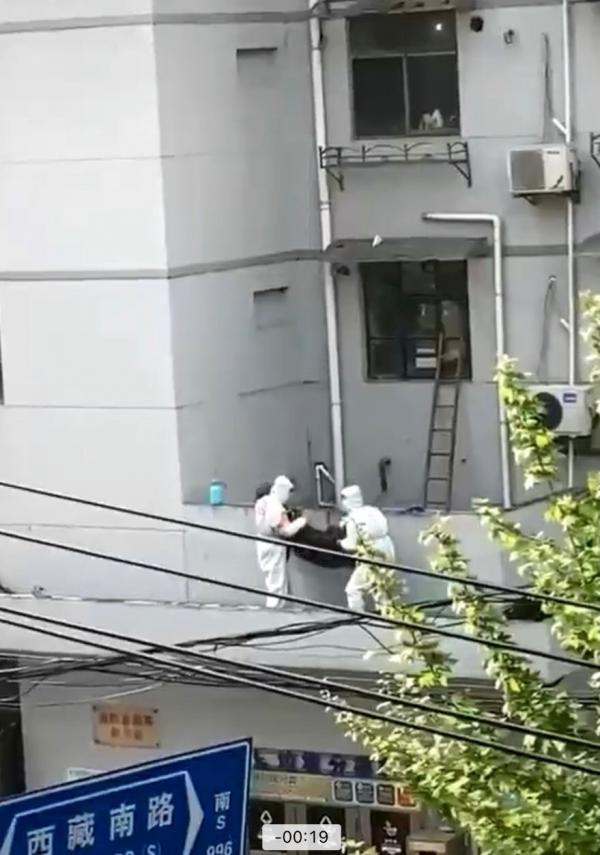上海黄浦区西藏路一小区居民坠楼亡。(图片来源:视频截图)