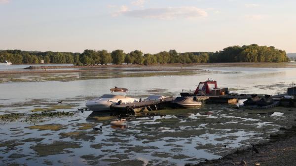 8月12日,德国奥斯特里希温克尔(Oestrich Winkel)附近莱茵河水(Rhine River)位低于40厘米,船舶运输越来越困难。(图片来源:YANN SCHREIBER/AFP/Getty Images)