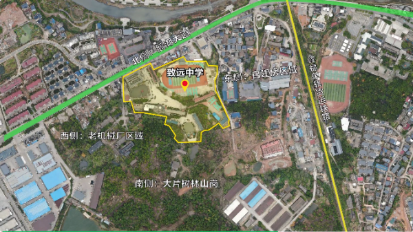 (图片来源:网络图片)