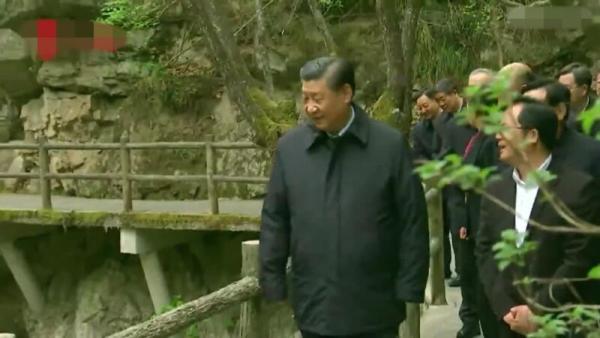 2020年4月20日至23日,习近平到访陕西秦岭。图为习近平在秦岭牛背梁国家级自然保护区。(图片来源:视频截图)