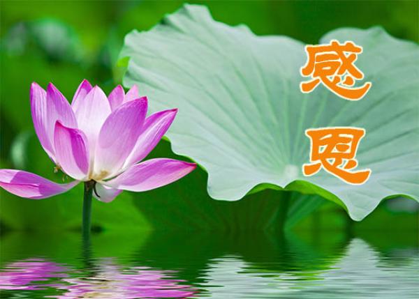人品好的人都有 “ 4种特征 ”。 (图片来源:网图)