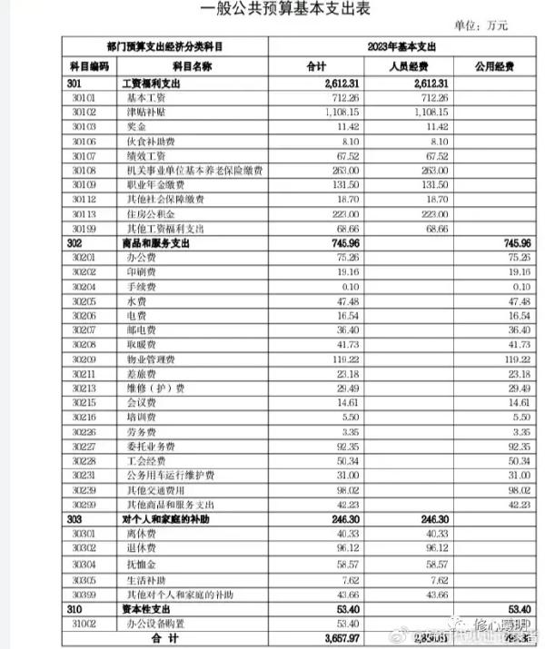 中国红十字总会晒出了今年的基本支出,这份数据里边的支出罗列,非常详细。(图片来源:网络截图)