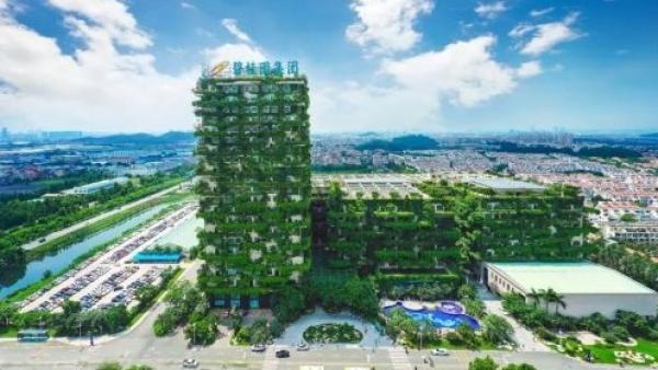 碧桂园总部大楼（图片来源：博客截图）