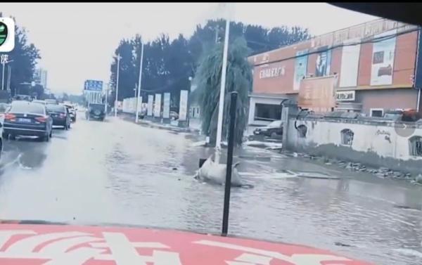 洪水水面上漂浮一层油污,更有羊、狗等动物尸体横躺路边。(图片来源:视频截图)
