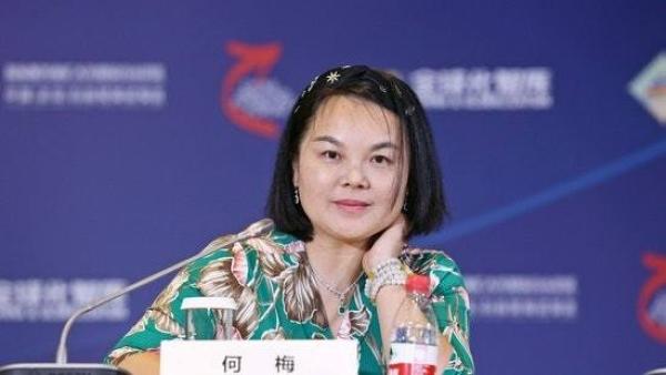 中美移民机构“外联出国”的董事长何梅。（图片来源: 网络）