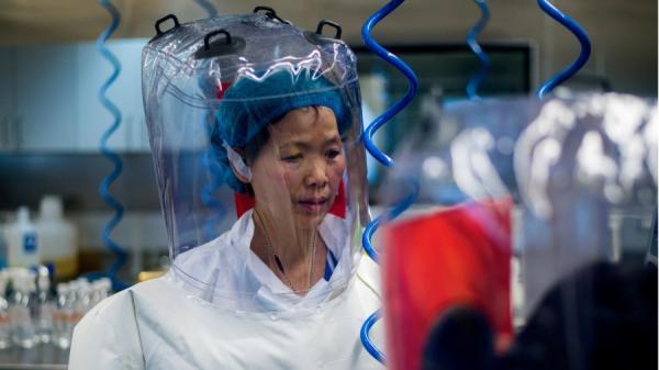石正丽与研究团队却发出警告,全球“非常有可能”再爆发新一波新冠疫情。(图片来源:JOHANNES EISELE/AFP via Getty Images)