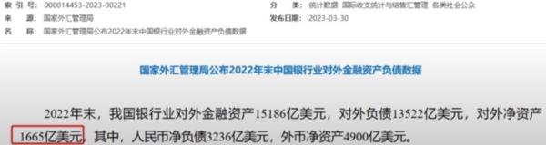 中国国家外汇管理局公布的2002年末银行业对外金融资产负债数据。(网站截图)