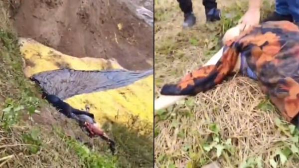 重庆开州不明气体致多人中毒3死。(图片来源:视频截图)
