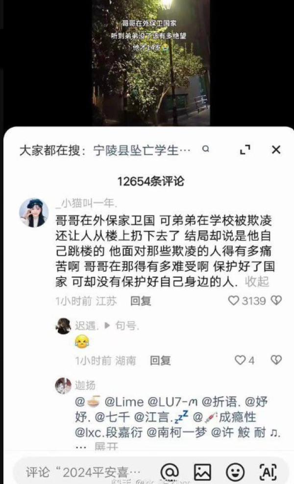 网民:哥哥保护好了国家却没保护好家人。(图片来源:网路截图)