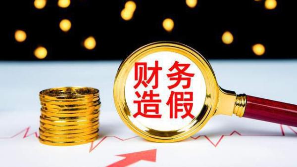 上市公司造假 (图片来源:网络截图)