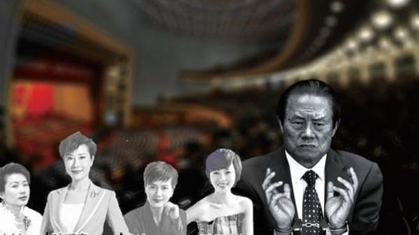 周永康和他的央视后宫。(图片来源:网图)