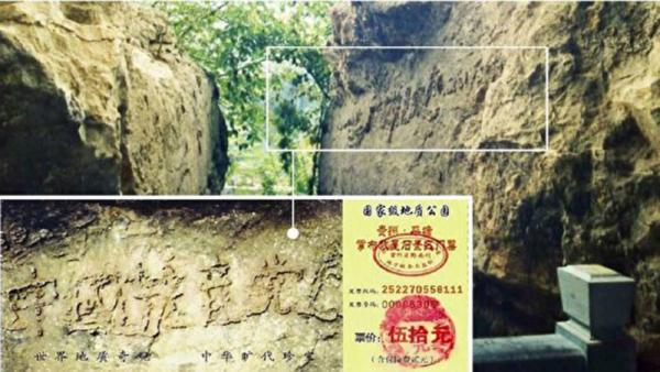 (图片来源:网络图片)