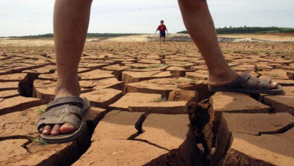 河南干旱的连河水都干涸了。(图片来源:China Photos/Getty Images)