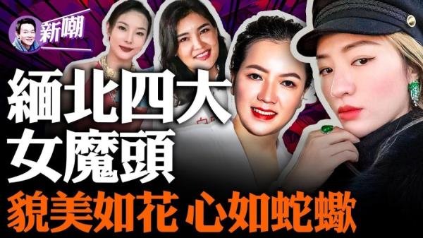 慈善名媛,蛇蝎美人,缅北诈骗4大女魔头。(视频截图)