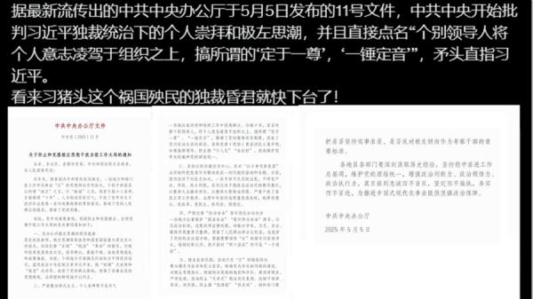 中办文件的造假迎合某种观点 (图片来源:网络截图)