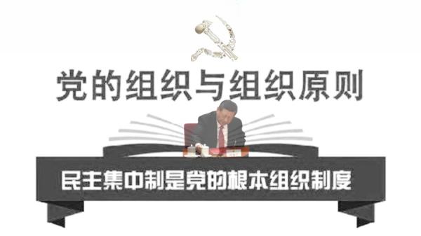 网传习近平心脏病随时可能要命,党的民主集中制如何运行?(图片来源:网络截图)
