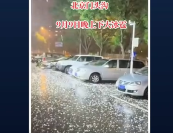 (图片来源：视频截图)