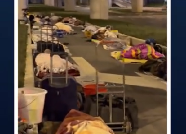 (图片来源：视频截图)