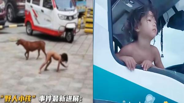 四川雅安出现“野人小孩”。