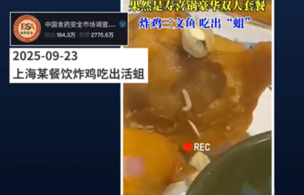 (图片来源:视频截图)