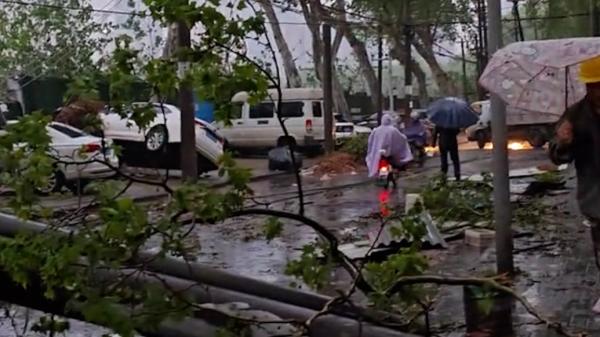 4月9日，武汉遭遇狂风暴雨冰雹袭击，电线杆、树木倒伏。（图片来源：网路截图）