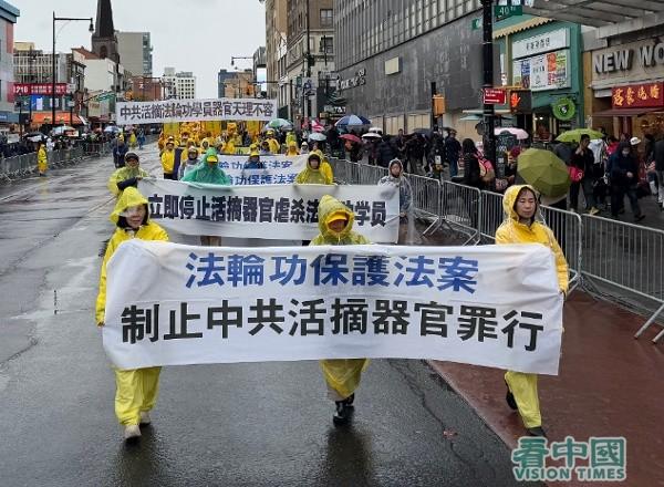 看中国摄影：柳笛）