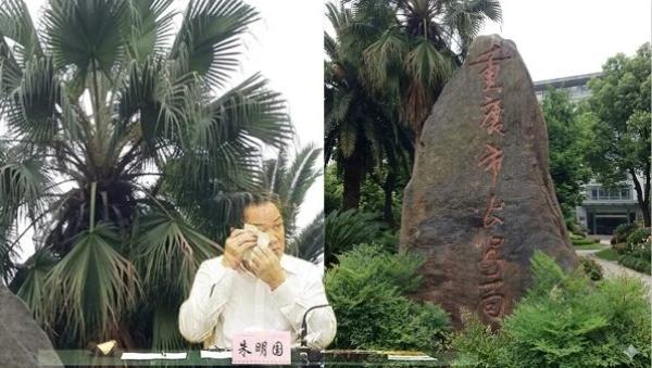 “重庆至公安局”，落款是：朱明国，二零零五年六月廿三日（图片来源：网络截图）