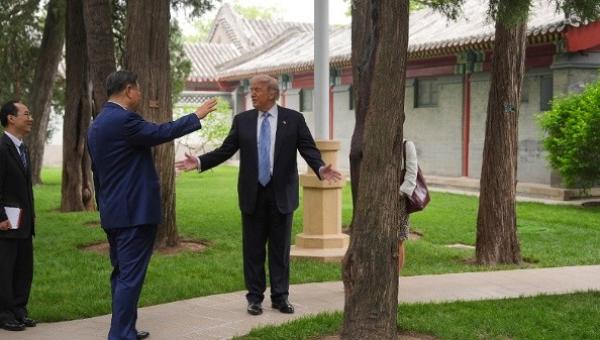 2026年5月15日，美国总统川普与中共党魁习近平参观北京中南海的园林区。（图片来源：Mark Schiefelbein/POOL/AFP via Getty Images）