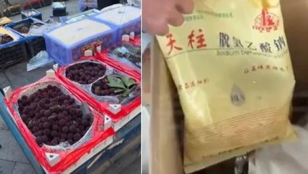福建漳州多家杨梅收购点违规浸泡防腐剂、滥用三无超甜添加剂。（图片来源：视频截图）