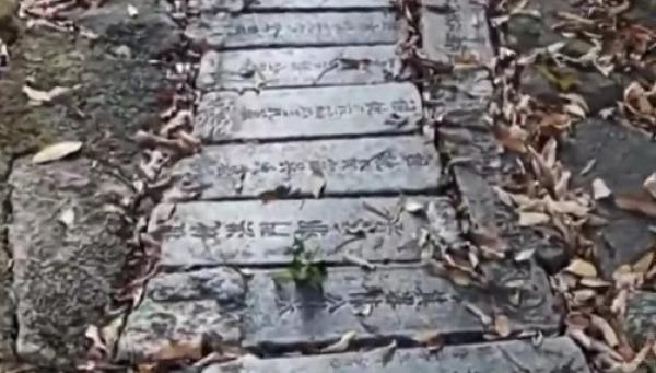 江苏无锡惠山国家森林公园登山台阶由裁切的墓碑铺设。(图片来源:视频截图)