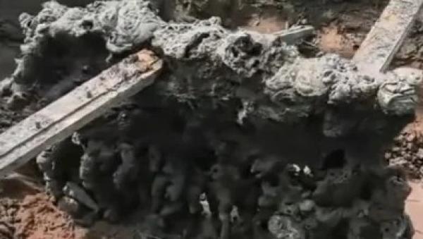 河北安平县一麦田,闪电雷击后惊现一块奇怪的石头。(图片来源:视频截图)