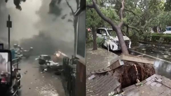 北京8月7日遭狂风暴雨侵袭，一度天昏地暗，大树成片倒地甚至连根拔起。（图片来源：视频截图）