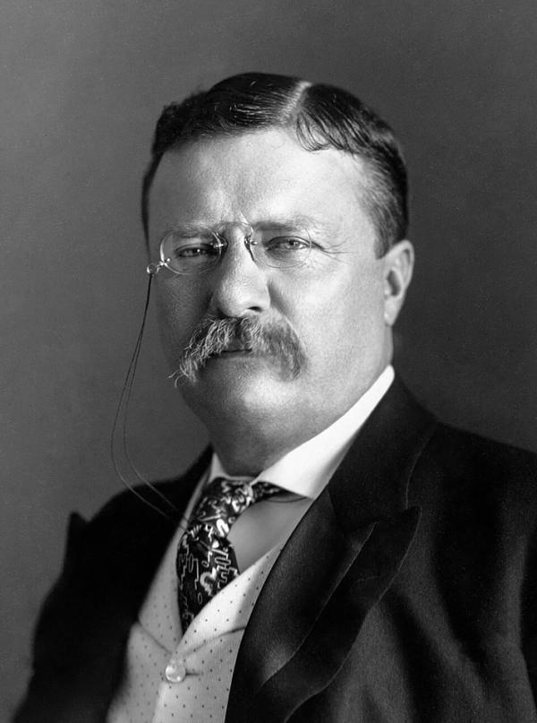 1904年,时任美国总统西奥多•罗斯福(Theodore Roosevelt)(公有领域)